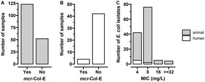 Epidemiology and zoonotic transmission of mcr-positive and carbapenemase-producing Enterobacterales on German turkey farms